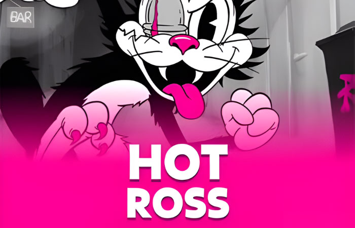 Jogo Hot Ross