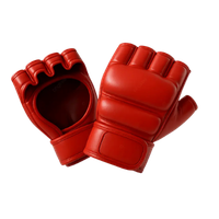 Ícone MMA
